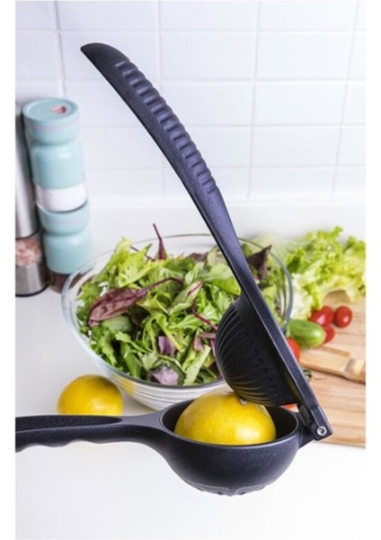 Limon ve Portakal Sıkacağı Döküm fiyatları