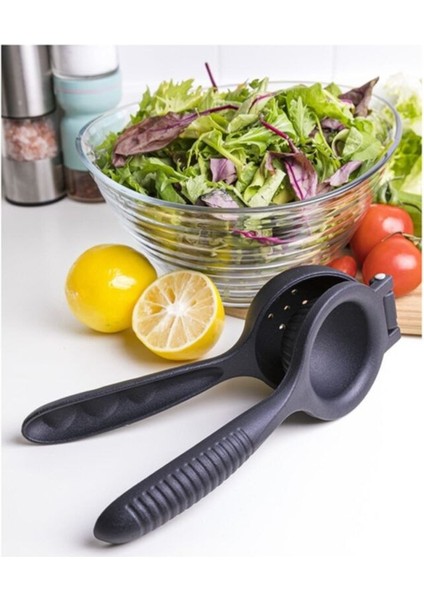 Limon ve Portakal Sıkacağı Döküm modelleri