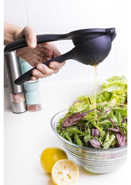 Döküm Limon Sıkacak Portakal Limon Narenciye Sıkacağı Döküm FMA03511 fiyatları