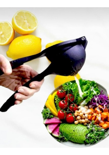 Portakal Limon Narenciye Sıkacağı Döküm