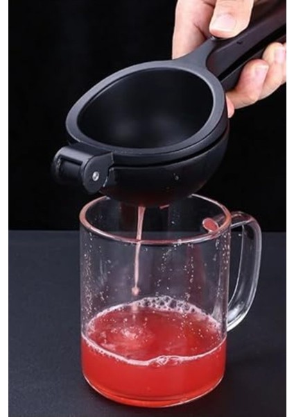 Portakal Limon Narenciye Sıkacağı Döküm fiyatları