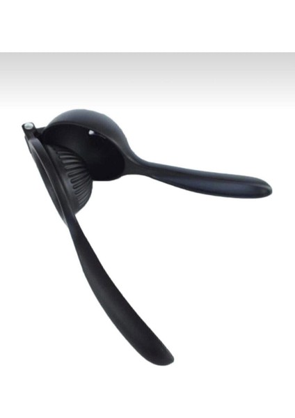 Limon ve Narenciye Sıkacağı Döküm fiyatları