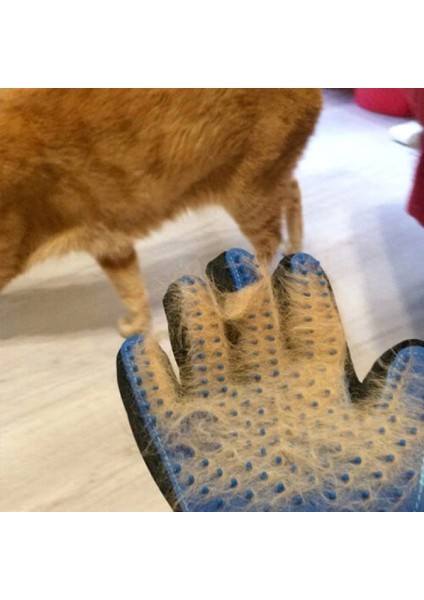 Tüy Toplama Eldiveni fiyatları