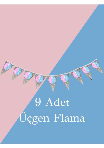 Cinsiyet Partisi Kutlama Seti – Konfeti,tabak-Bardak,flama,balon ve Pompa (Kız Bebek - Kapalı Alan) fırsatları