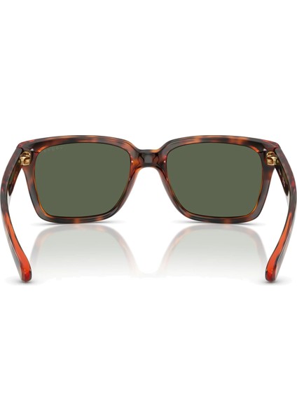 Güneş Gözlüğü VO5648SI 54 271871 modelleri