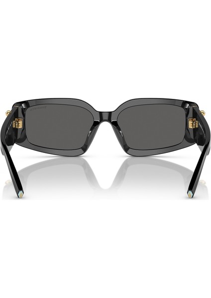 4208U 8001S4 54 Kadın Güneş Gözlüğü fiyatları