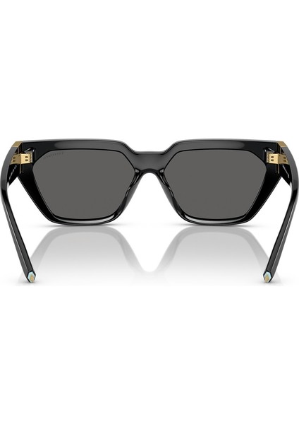 Tiffany&Co TF4205U8001/S4 56 Kadın Güneş Gözlüğü modelleri