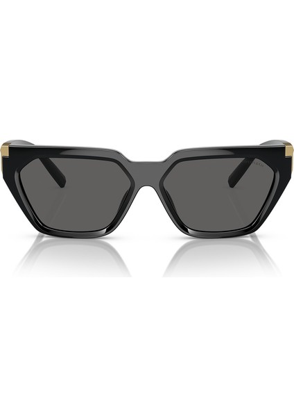 Tiffany&Co TF4205U8001/S4 56 Kadın Güneş Gözlüğü fırsatları