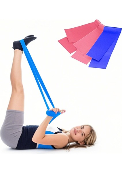 Ekonomik Pilates Seti 9 Parça Içeren Ev & Salon Tipi Plates Topu Seti 3 Lü Direnç Bandı Kelebek