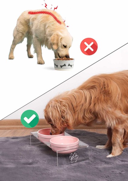 Kedi ve Köpek Dekoratif 2'li Seramik Pleksi Mama & Su Kabı + Kedi Paspası Pembe modelleri