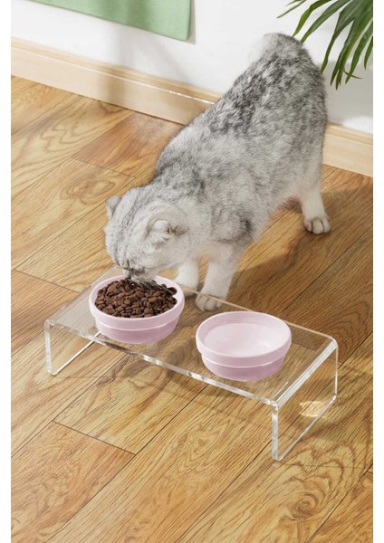 Kedi ve Köpek Dekoratif 2'li Seramik Pleksi Mama & Su Kabı + Kedi Paspası Pembe fırsatları