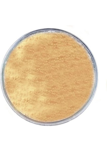 Maya Ekstrakt (Yeast Extract) (Msg Yerine)