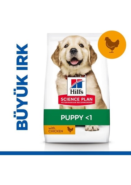 Science Plan Tavuklu Büyük Irk Yavru Köpek Maması 2,5 Kg (Puppy Healthy Development Large Breed with Chicken )