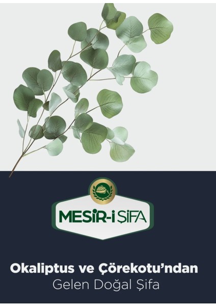 Mesir- i Şifa Çörekotlu Okaliptüslü Kahve