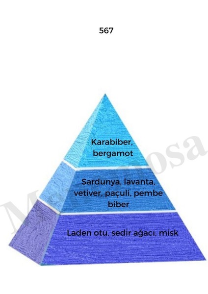 567 Erkek Parfüm Edp 50 ml + No: 567 Unisex Deodorant 150 ml - MNMS567DEO fiyatları