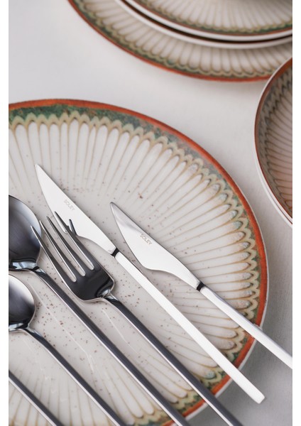 | Zenıa | 6 Kişilik 42 Parça Çatal Kaşık Bıçak Takımı modelleri