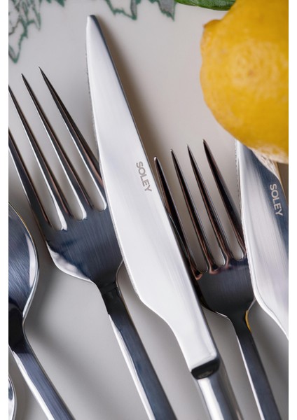 | Arma | 6 Kişilik 42 Parça Çatal Kaşık Bıçak Takımı modelleri