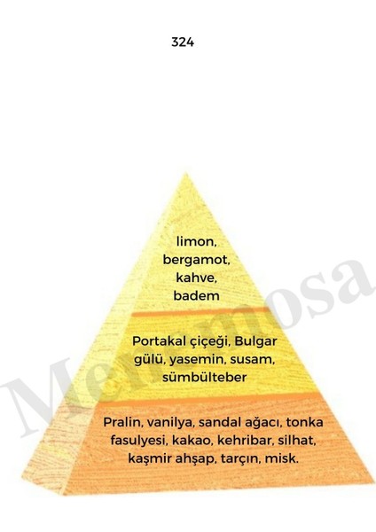 324 + 324 Kadın Parfüm Edp 50 ml + NO:324 Kadın Deodorant 150 ml - MNMS324DEO2 fiyatları
