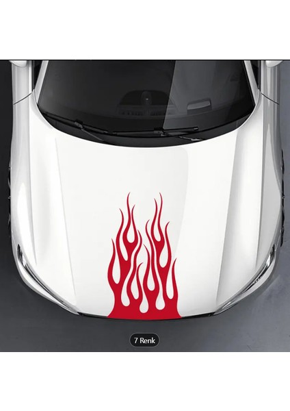 Alev Deseni Kaput Sticker