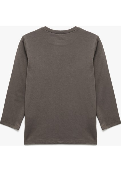 Dinozor Baskılı Uzun Kollu Bisiklet Yaka Pamuklu Tişört fiyatları