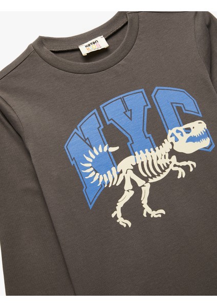 Dinozor Baskılı Uzun Kollu Bisiklet Yaka Pamuklu Tişört modelleri