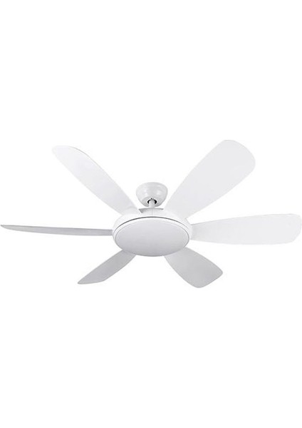 Ct-1157 Fırtına Fan 122W Dimmerli 3 renk modelleri