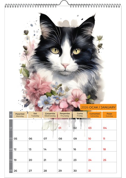 2026 Kedi Color Duvar Takvimi