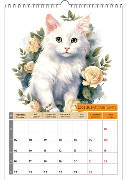 2026 Kedi Color Duvar Takvimi fiyatları