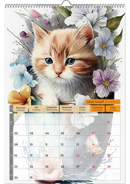 2026 Kedi Color Duvar Takvimi modelleri