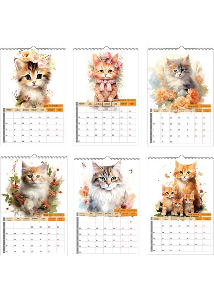 2026 Kedi Color Duvar Takvimi fırsatları