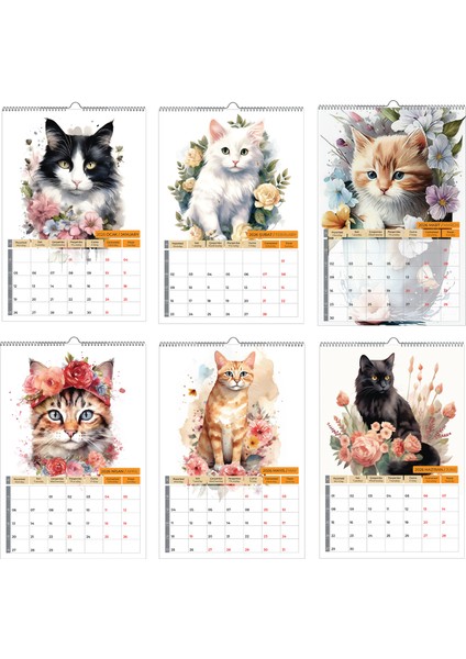 2026 Kedi Color Duvar Takvimi indirimleri