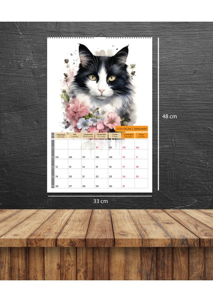 2026 Kedi Color Duvar Takvimi