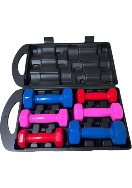 10 kg Vinly Kaplı Dipping Dumbbell Set Kadınlar Için Çantalı Dambıl Set 1 Kg, 1,5 Kg, 2,5 kg