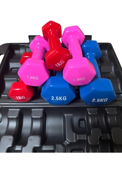10 kg Vinly Kaplı Dipping Dumbbell Set Kadınlar Için Çantalı Dambıl Set 1 Kg, 1,5 Kg, 2,5 kg fiyatları