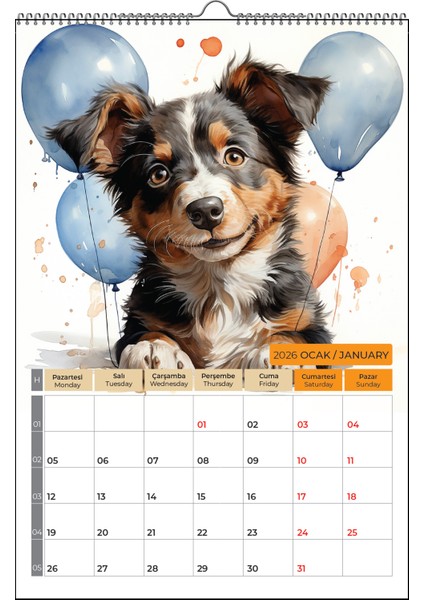 2026 Köpek Color Doge Duvar Takvimi