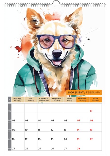 2026 Köpek Color Doge Duvar Takvimi fiyatları