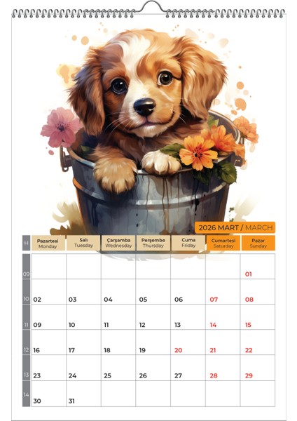 2026 Köpek Color Doge Duvar Takvimi modelleri