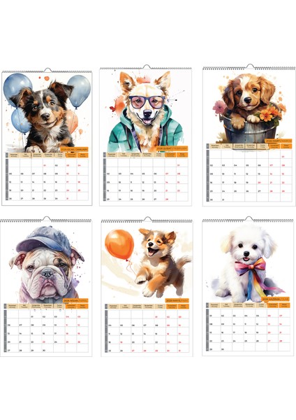 2026 Köpek Color Doge Duvar Takvimi fırsatları