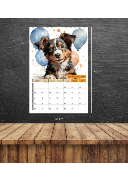 2026 Köpek Color Doge Duvar Takvimi