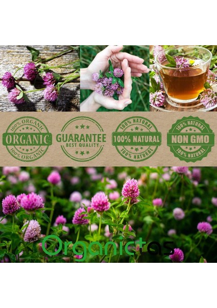 Red Clover Blossom 400 mg, Kırmızı Yonca Leaf Flower Traditional Support Certified Authentic Tru-Id™ fırsatları