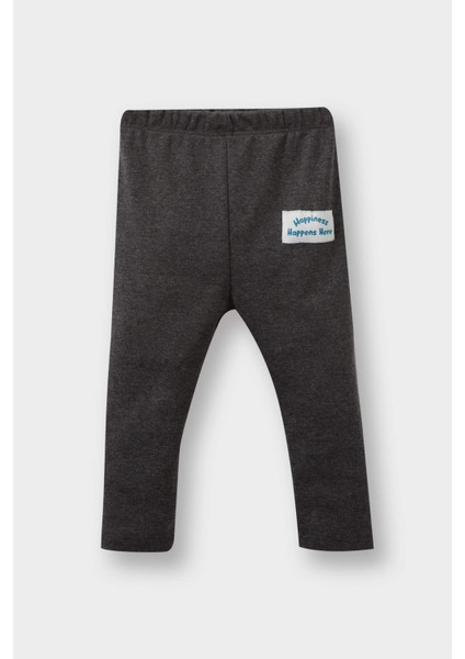 Erkek Bebek 2'li Takım Araç Baskılı Sweatshirt Alt F1594A525AU fiyatları