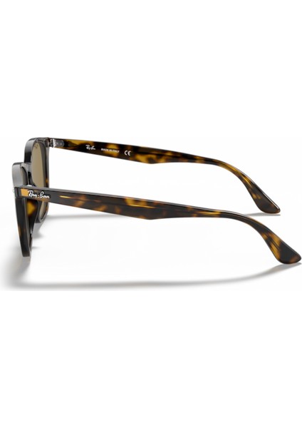 RB4258 710/73 50 Unisex Güneş Gözlüğü fiyatları