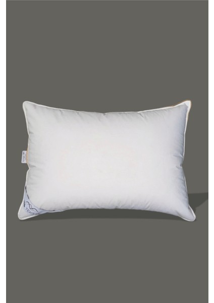 4 Adet %100 Kaz Tüyü Yastık 20 Gıdık (Alçak Yatış) 50X70 Elizza - Biyeli fırsatları