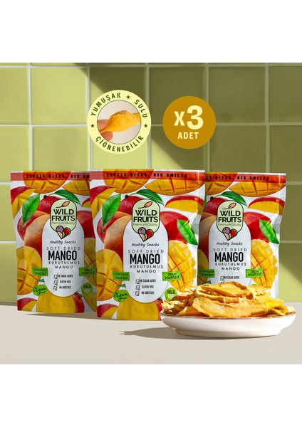 Kurutulmuş Mango - Soft Dried - Atıştırmalık Kuru Meyve 3 x 50 gr