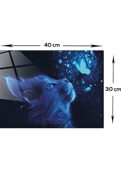 Şeffaf Cam Tablo, Kedi ve Kelebek, 30X40CM, Dekoratif Sanat Eseri modelleri