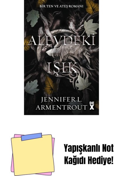 Alevdeki Işık - Sc + Yapışkanlı Not Kağıdı