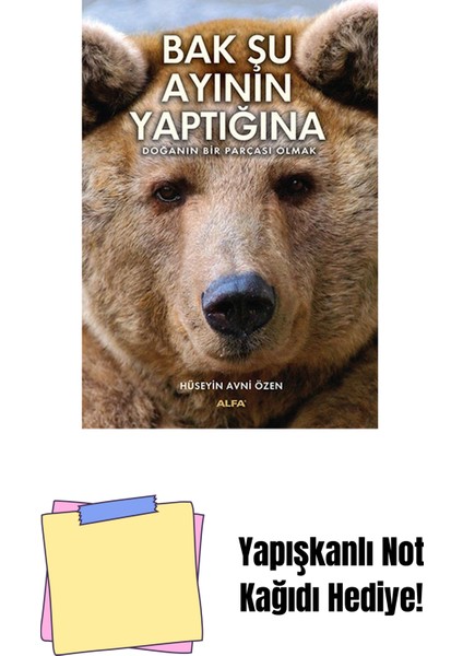 Bak Şu Ayının Yaptığına + Yapışkanlı Not Kağıdı