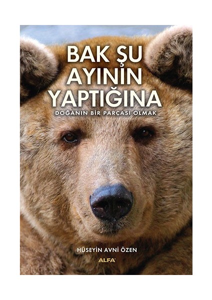 Bak Şu Ayının Yaptığına + Yapışkanlı Not Kağıdı fiyatları