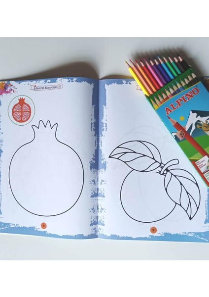 Nurofis Yıldız Boyama Pakedi