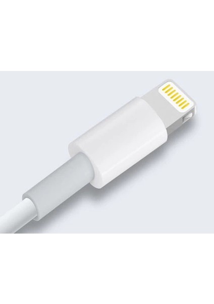iPhone 8 ve 8 Plus Data Kablosu modelleri